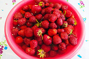 Подготавливаем клубнику